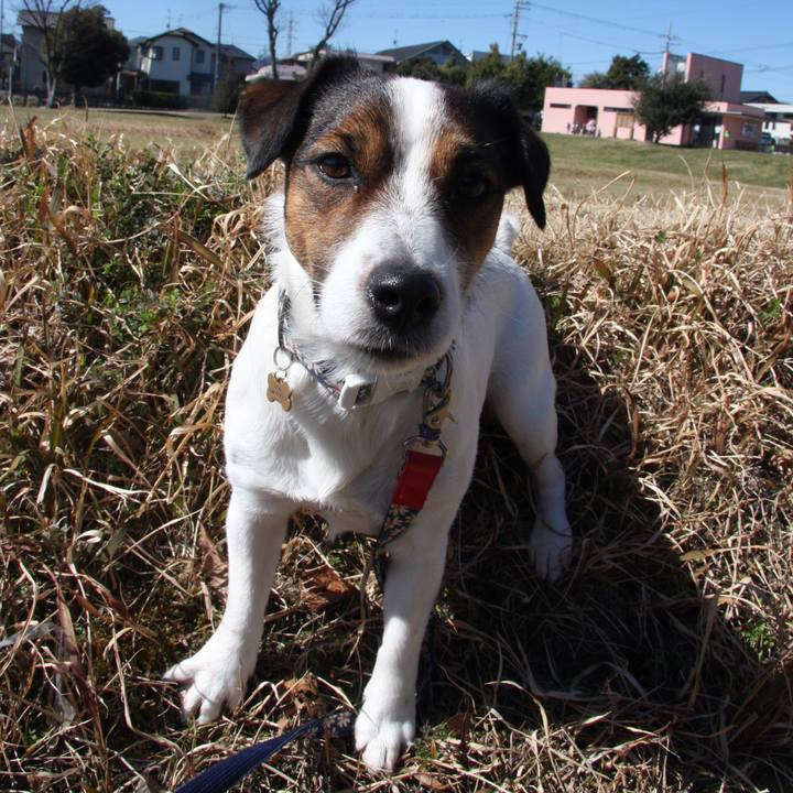 26ba5646 755b 4207 8800 6c2128808a39