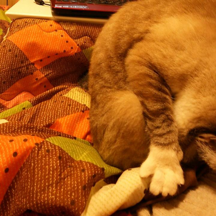 26baaf30 cc82 48fc 908f 3a58417f74f0