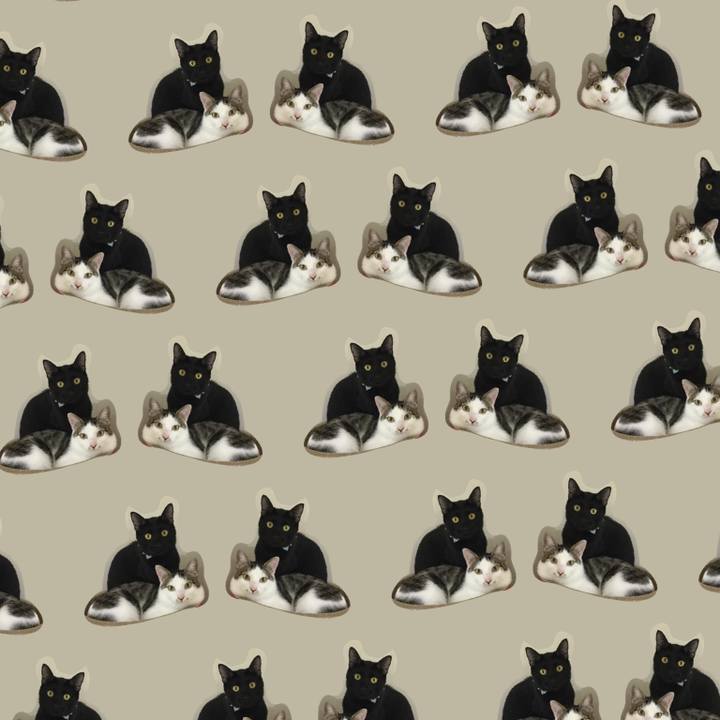 26bb3671 bf73 4778 943d a25ebcecfc35