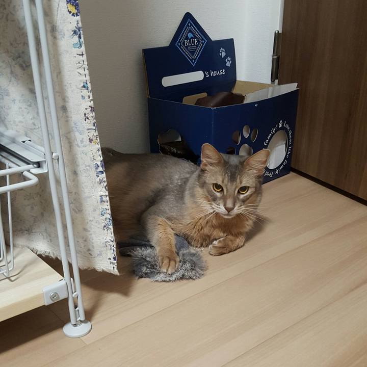 26bb683e bc69 4cb7 9192 0fe415009b2e