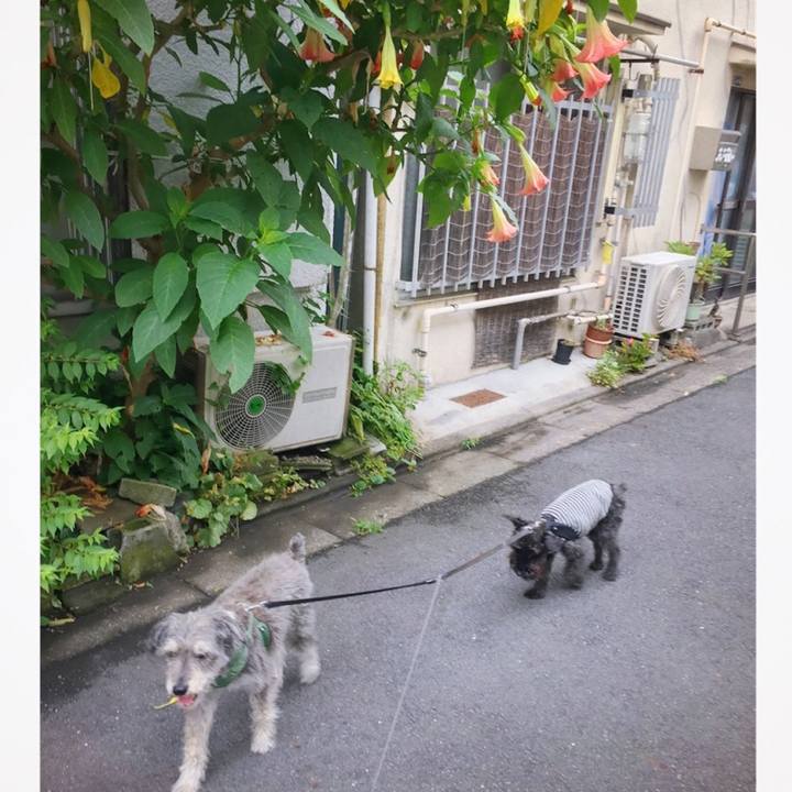 26bb7377 5fdb 48b5 bb6b d801135643e9