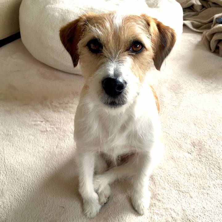 26bbaa79 1c45 449f 98ec 20bd2b5aedd1