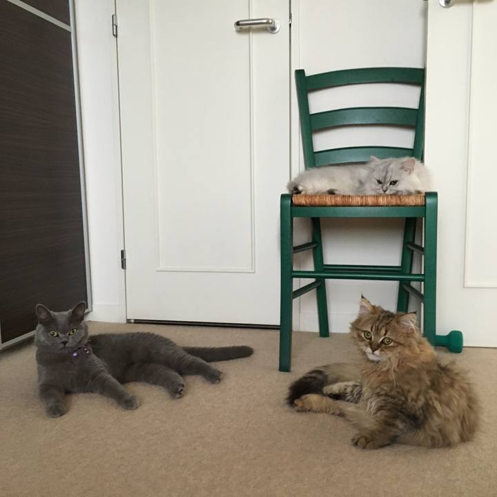 26bbad71 9fad 45d7 86db 369e26563613