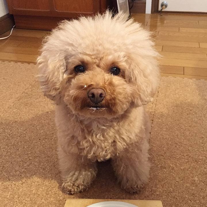 26bbc1ea 1d31 4e64 a99e 18e1d96d53bf