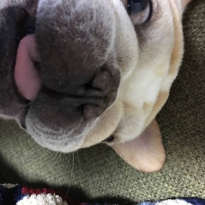 26bbf797 71a9 42e6 9392 8e64878fabd1