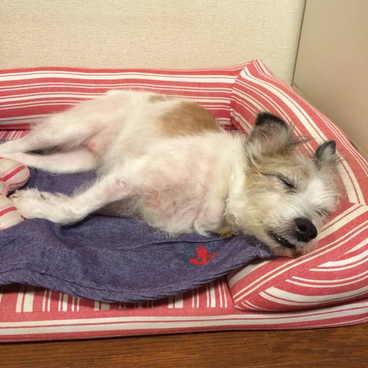 26bd4edd ff30 45cf 991c a608d3c34e59