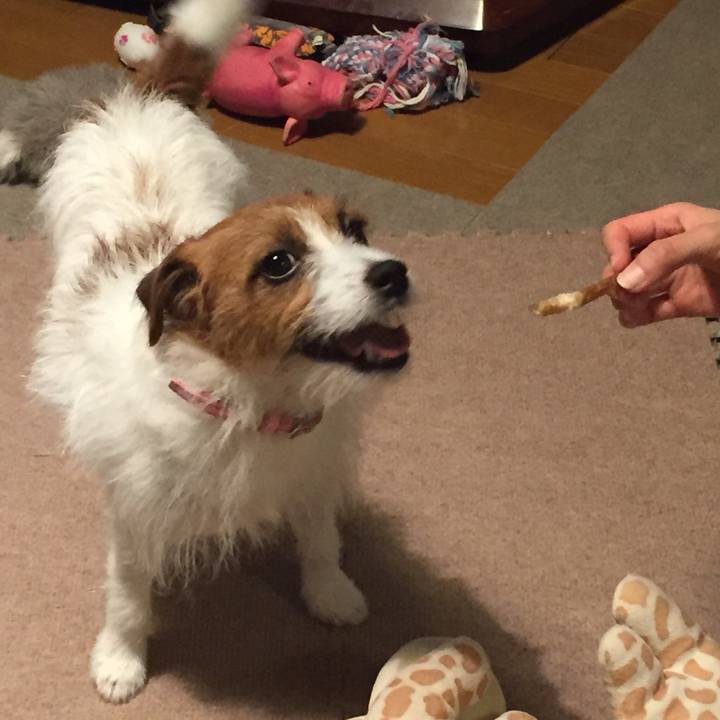 26bd8c23 7abc 4156 8b2b 76872fe2f0f5