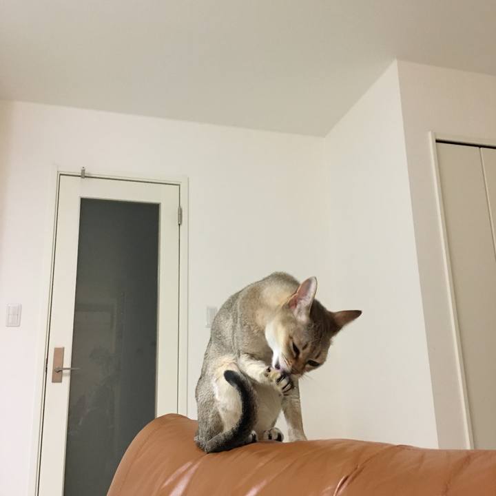 26be9315 a472 46c4 943f 30b101cd2529