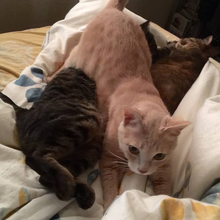 26bf0edb 774a 492b aeeb 7afd20e61018