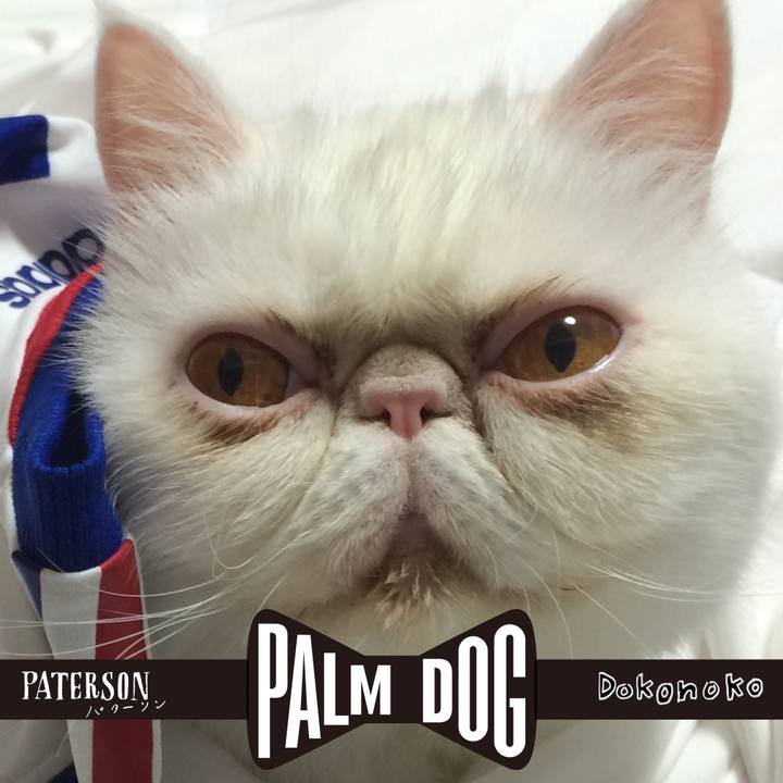 26bfa1a2 6f3f 4b10 afa1 5d2df0db2a6c