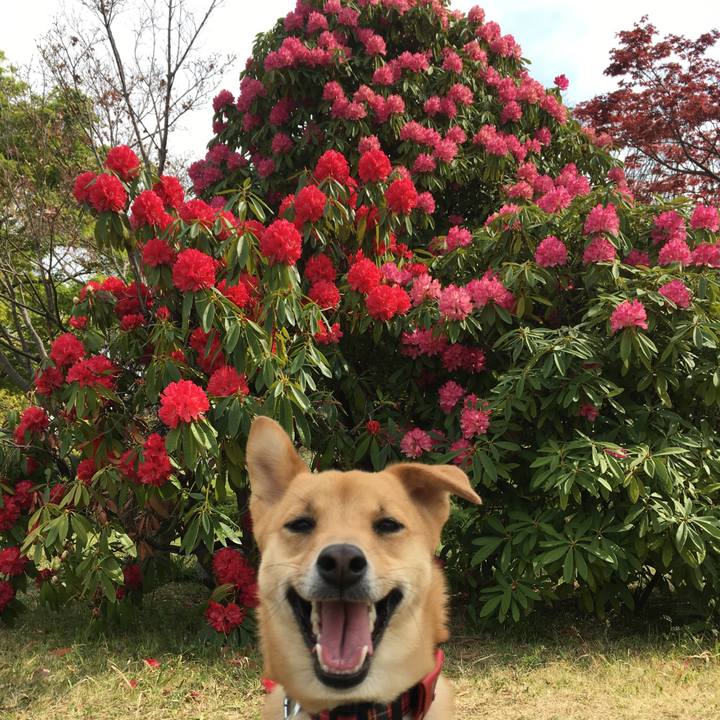 26c02d6b b298 414b 9152 a754e27e2aa1