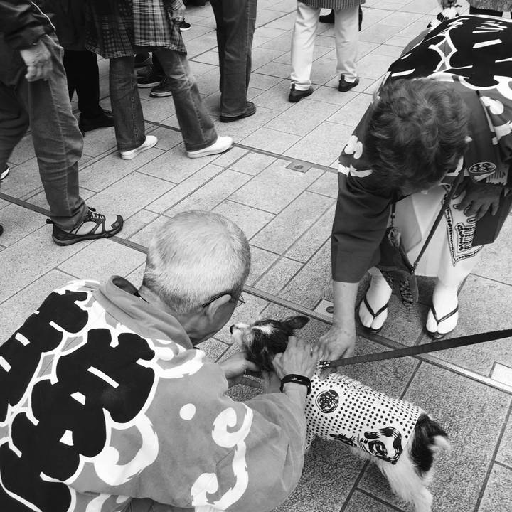 26c034df 56b4 4d86 9032 f7bcaaad9aa7