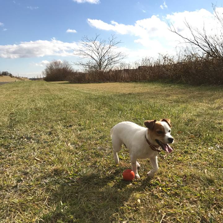 26c075b0 1e87 42da b3c3 e2d356121e99