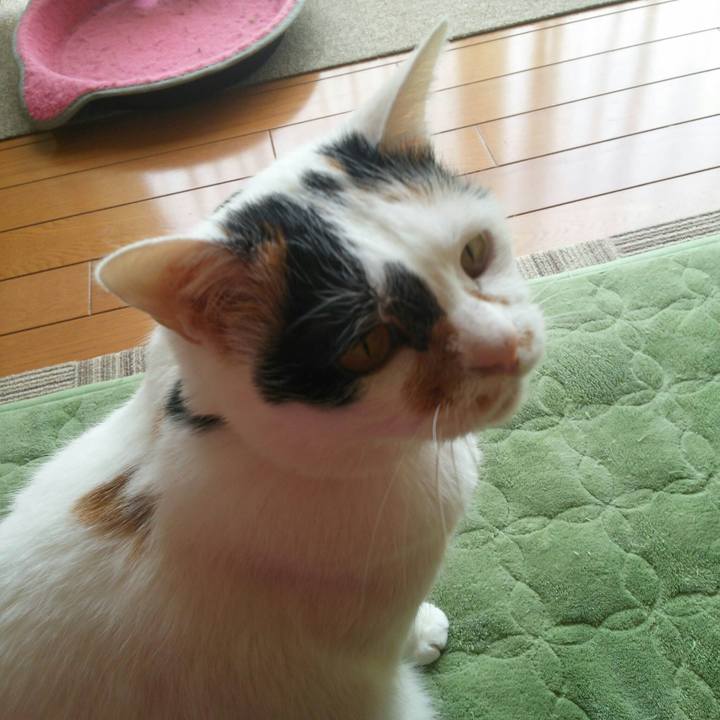 26c11c1b 3573 4205 8649 762d9ad58871