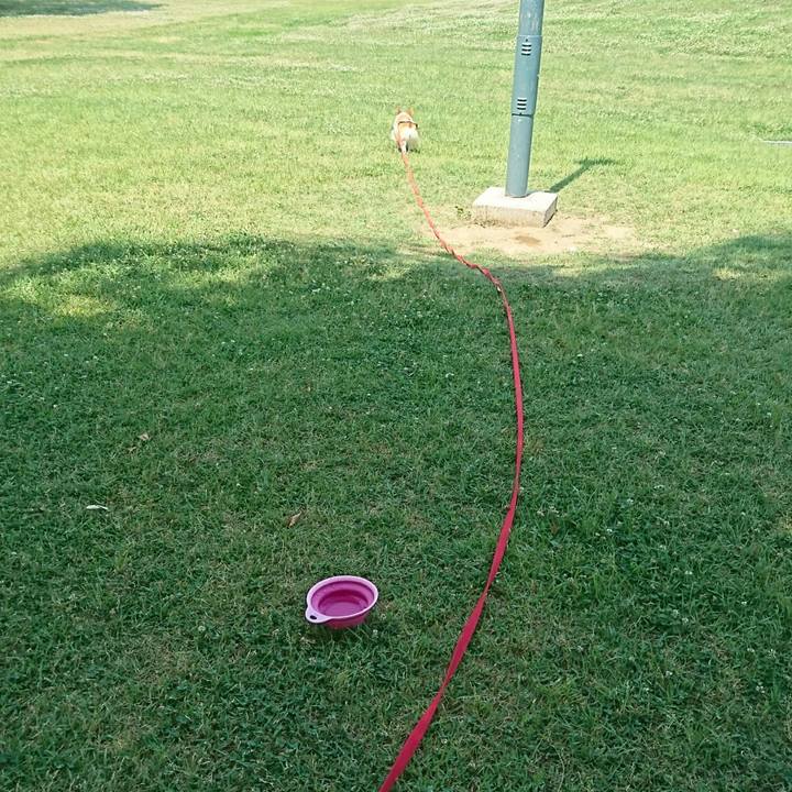 26c14252 f176 4688 9579 e4f75531c7e8