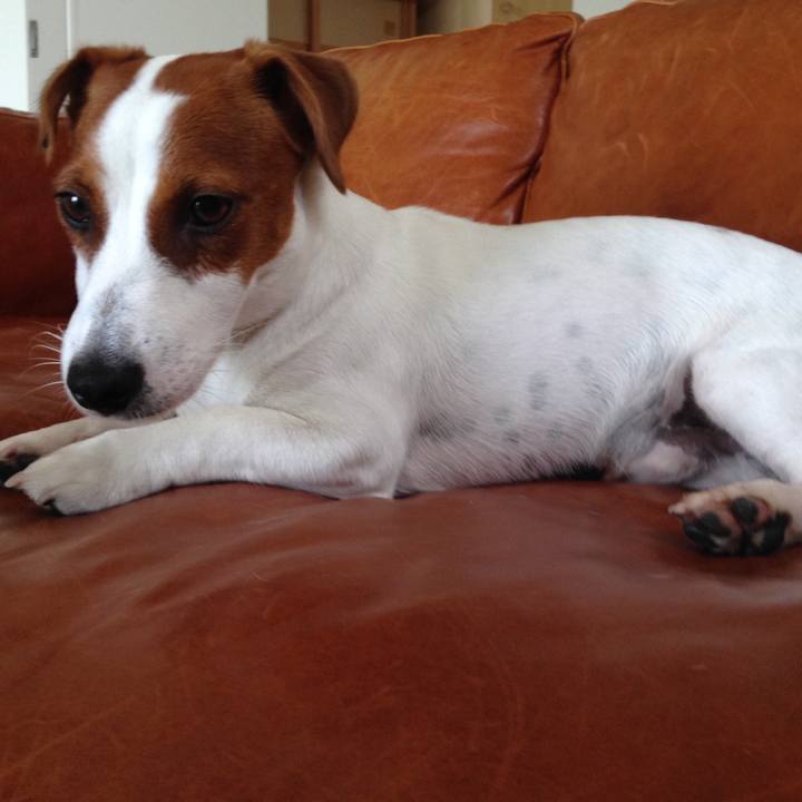 26c151ee 61a5 44eb aebc 0524092e99c1