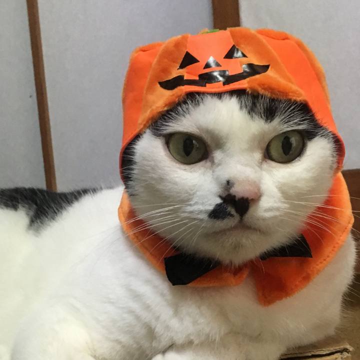 26c1cc18 d654 4f46 8ad1 82f468f5f577