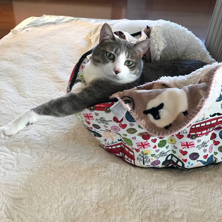 26c1d7a6 7c4a 4af6 b0e5 3af9d43e0232