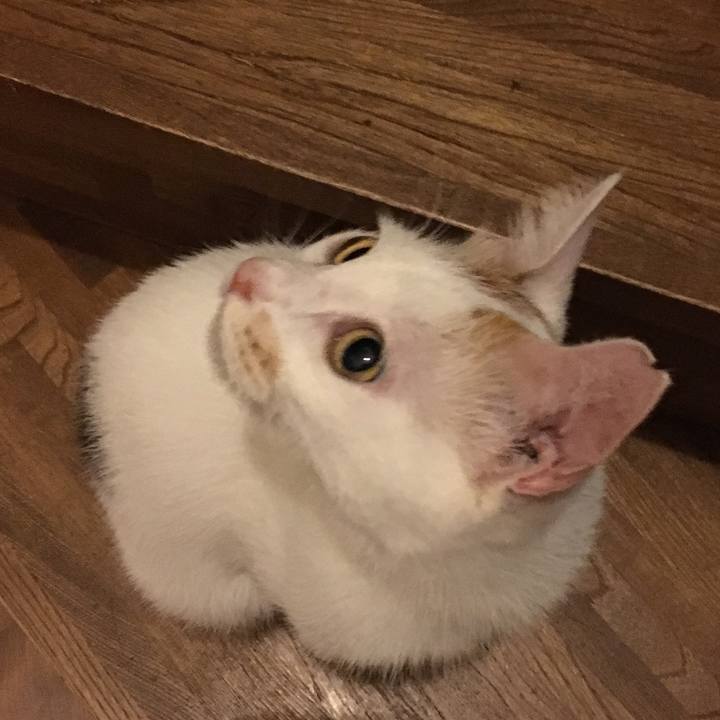 26c20ec6 221c 4b8e bed4 570d091688da