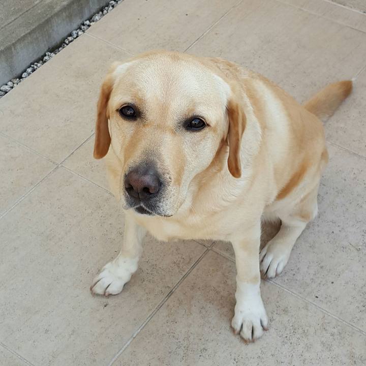 26c215af 9628 4e83 909a 2d383162a9b4