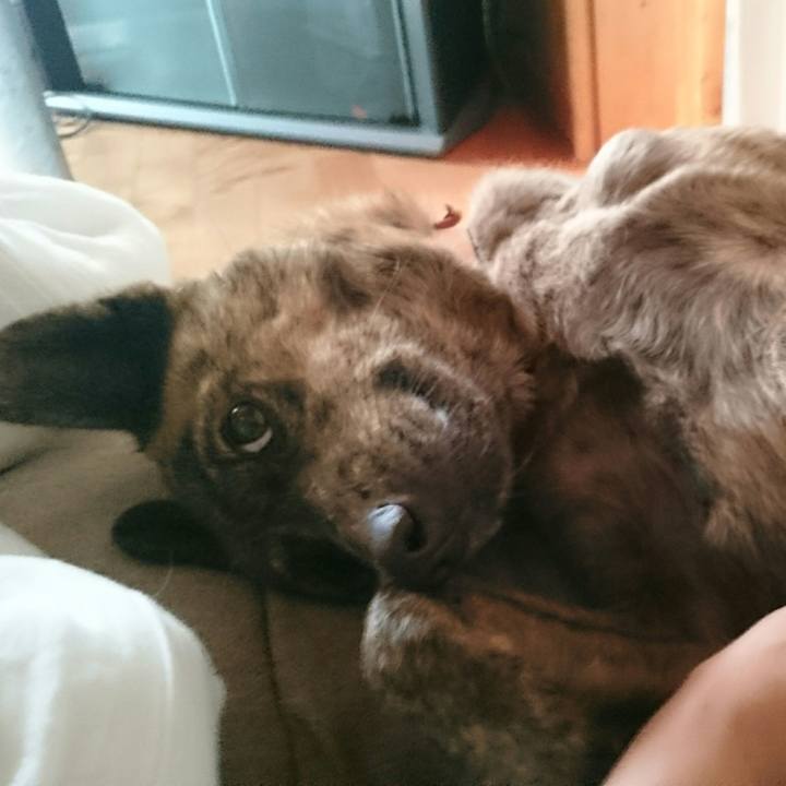 26c26e8f 929f 42db 85f0 c2b732c863ff