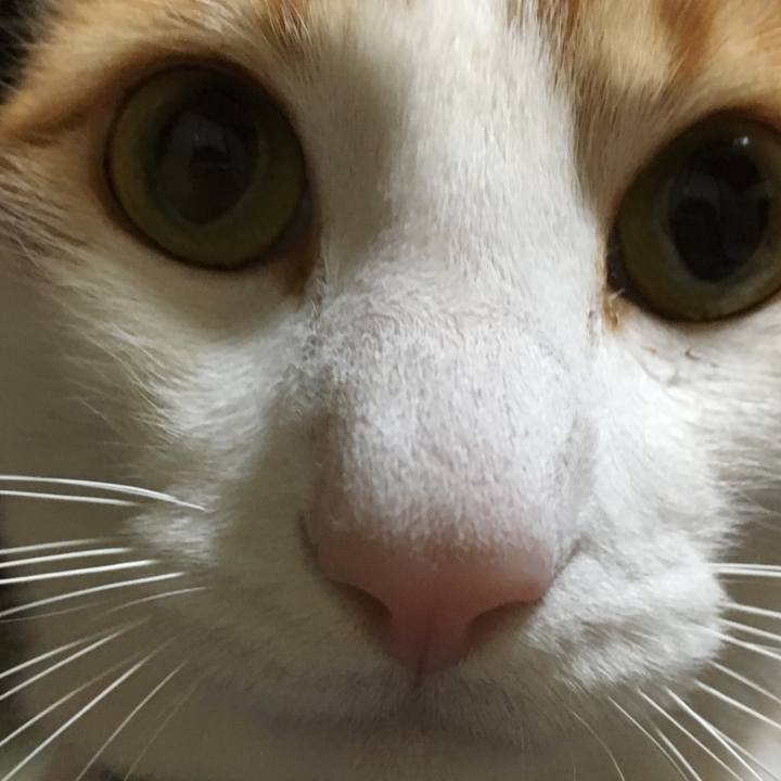 26c31500 b0e0 4329 ac3a 9baecbeb76c8