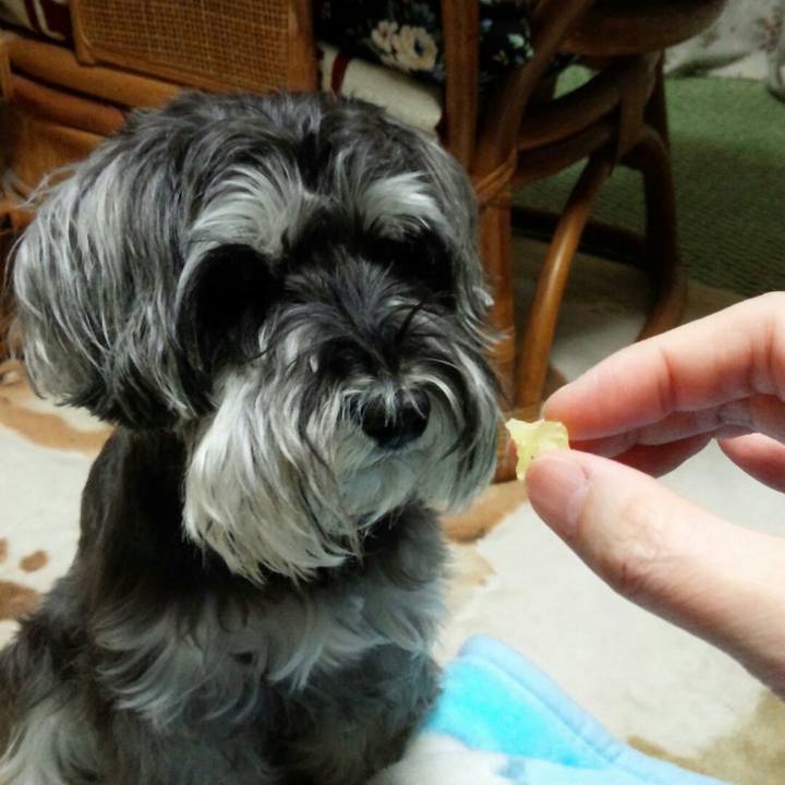 26c393c3 d57e 4fd3 ad12 7531ccc760e9