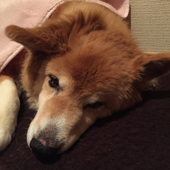 26c3aa37 1072 4d78 ba19 c04d0f6f7859