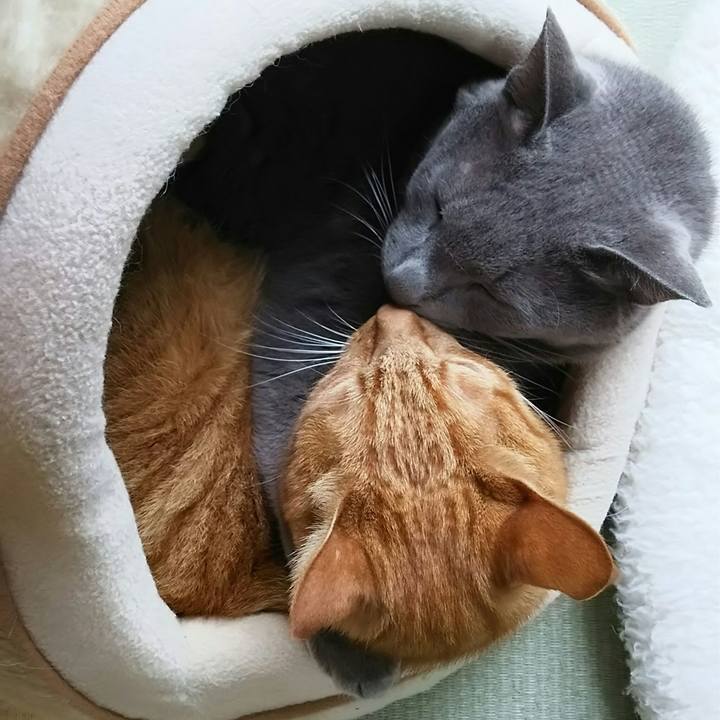 26c3c8f5 cfc2 429b 8722 204ffb477380