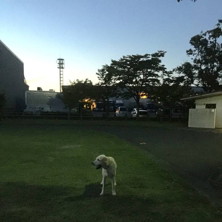 26c43f6c 843a 42cc 9e01 8ded3f6a0022