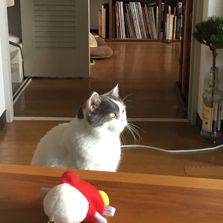 26c456fb 2942 487d bf5c 994e95ea43f9