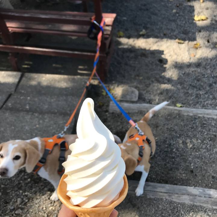 26c45b46 560f 425b ae68 31d4c32764b4