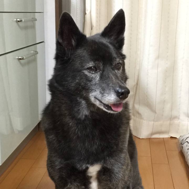 26c473f9 c389 4dba 9490 ddfe368b5511