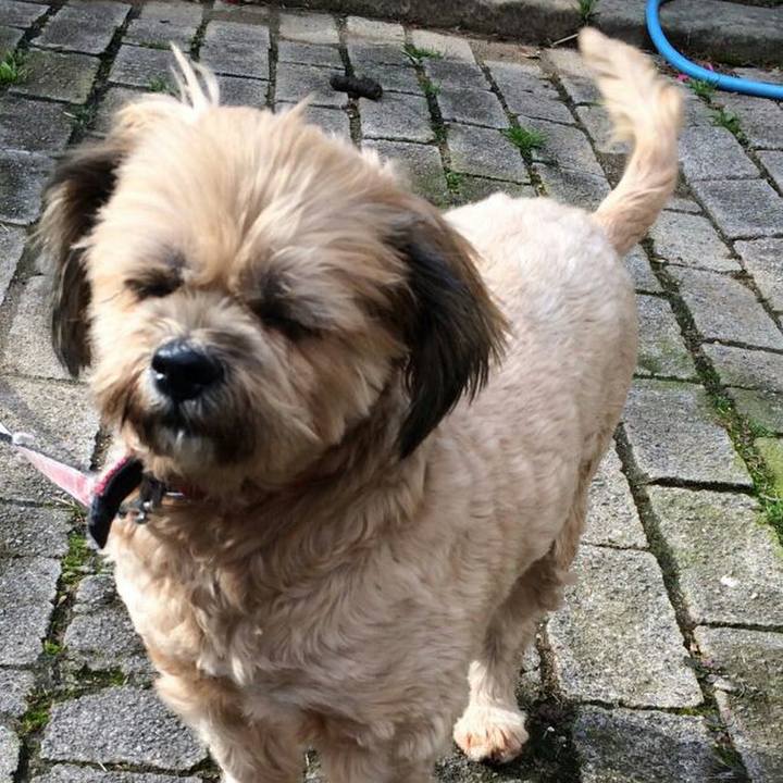 26c4a61b c6b0 4024 b0e0 932b14c92542