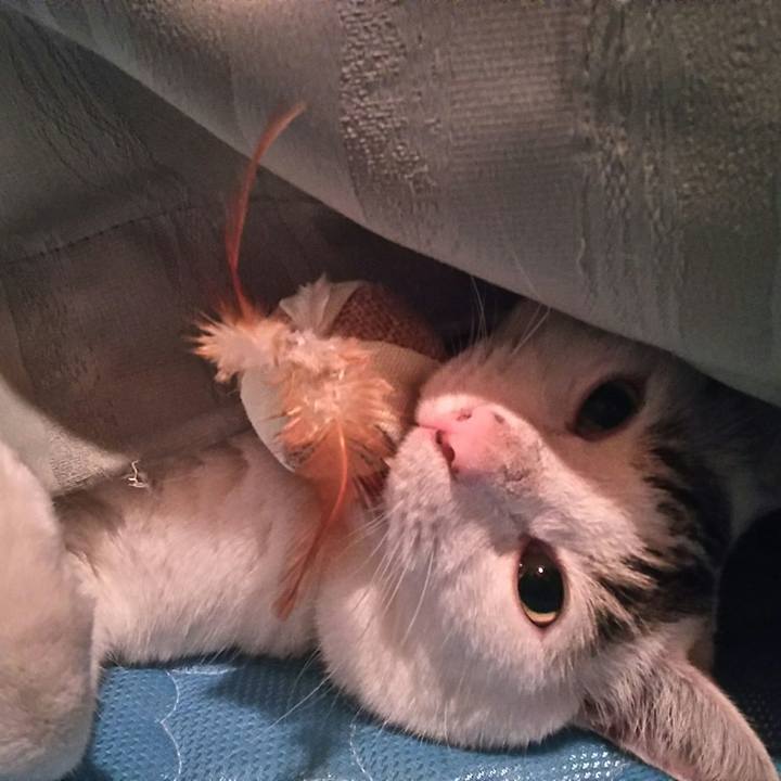 26c56f0d 1697 4ec5 9e99 d0c7a566b255