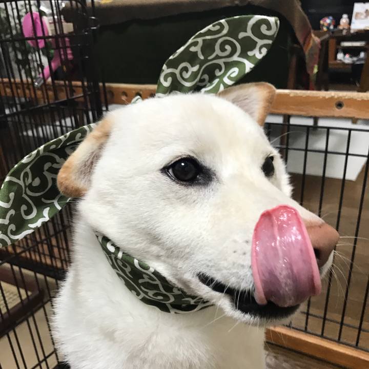 26c68160 801d 45f0 b0d0 9f3b8de7d232