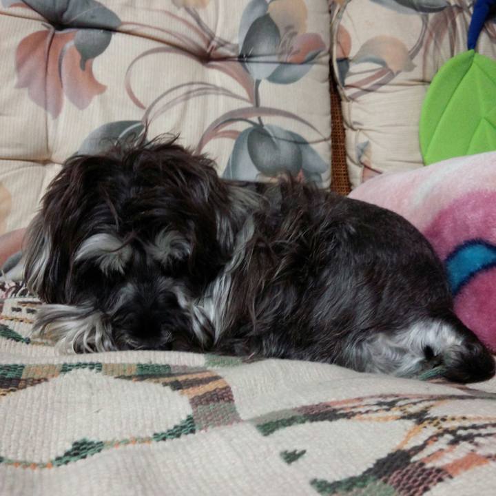 26c71207 044a 4f6f a1da c0fab73b8bf5