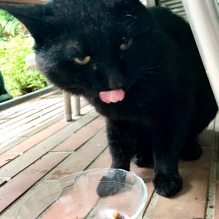 26c7447b 9a0d 4de2 a6e1 3fbe3fc5d526