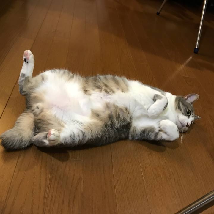 26c7d35f 92ec 4690 a94c 641c2b09bce7