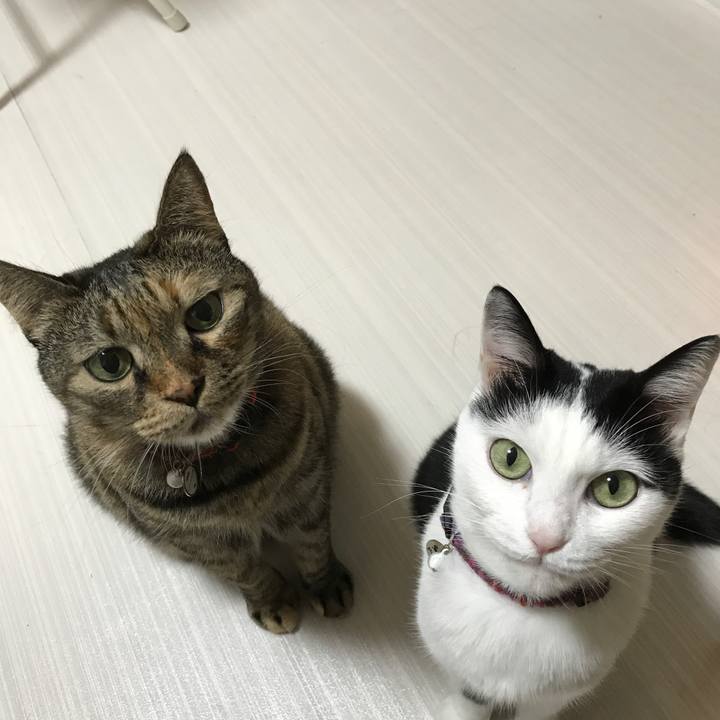 26c8200a d779 4713 849a cc23e48672e2