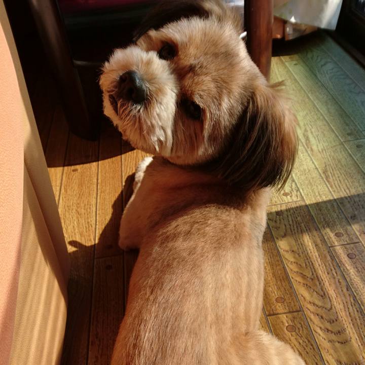 26c84565 1832 4722 a6d9 e18d4198b08e