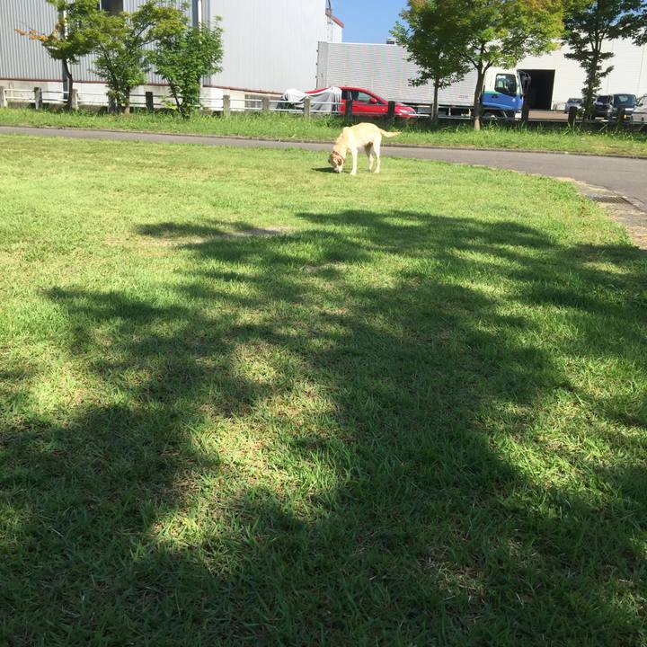 26c879c7 4c6b 4030 84f7 b0fa74935218