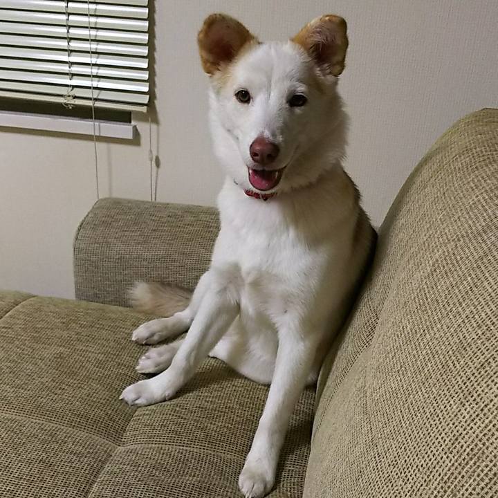 26c8e382 4a5b 4bdc b632 90c1da00f366