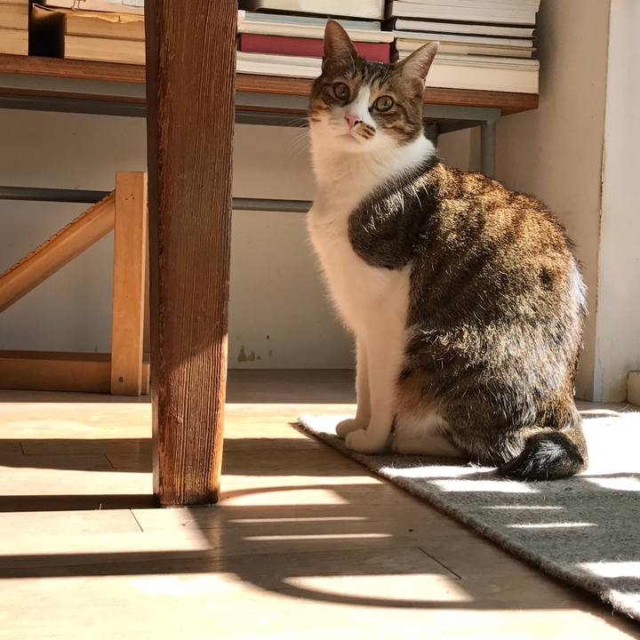 26c8f776 b404 472c 8b54 819c748fbf6d