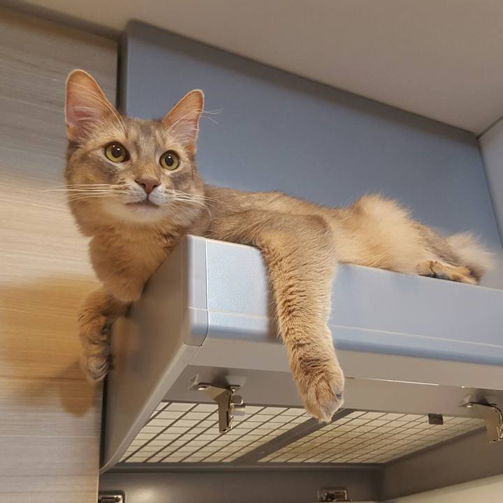 26c97cc7 2539 42ed a163 42d350c9846b