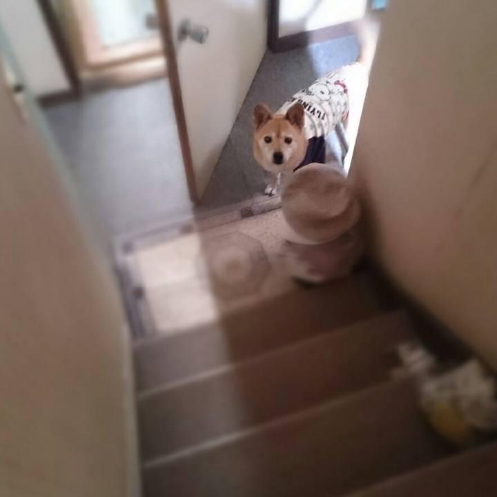 26c99047 03d7 49a9 8587 b9c30c07e442