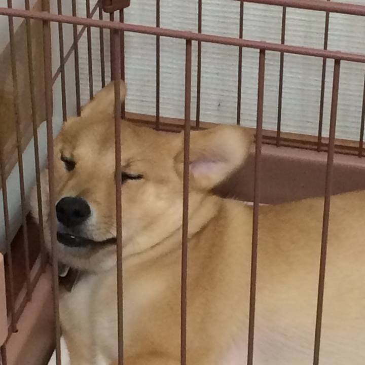 26c9f19f 8b39 4347 bd44 2570c7dadb76