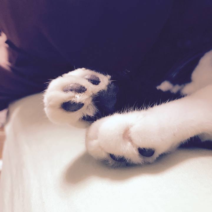 26ca33e6 4b18 46c4 8055 18fcc7ed4667