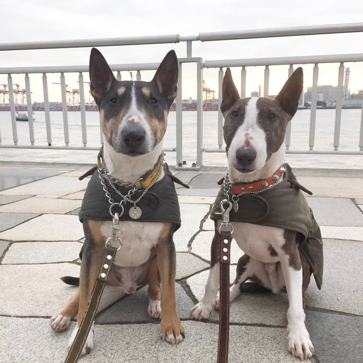 26ca4cab 16a0 456f b38d 86504786c60a