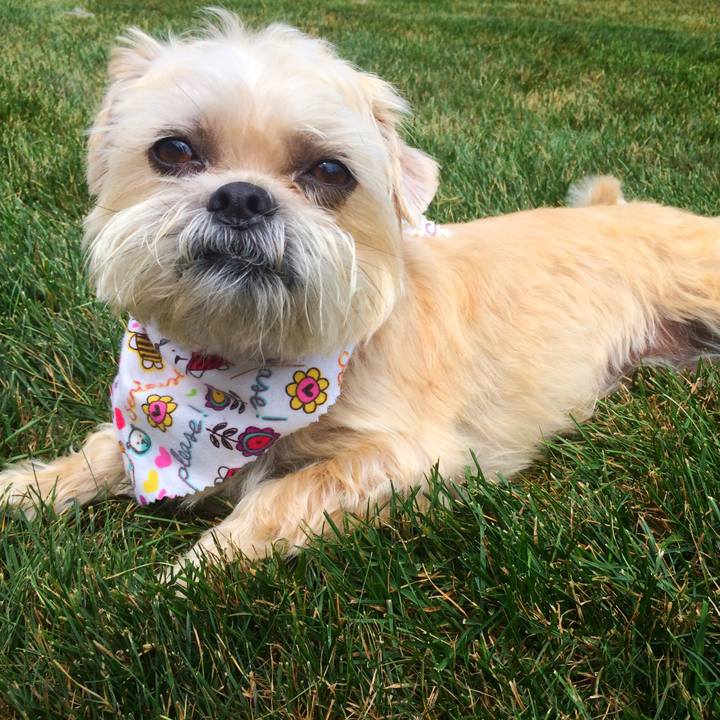 26ca7c71 99b3 4bbc b3fe ff6c44e9ce94